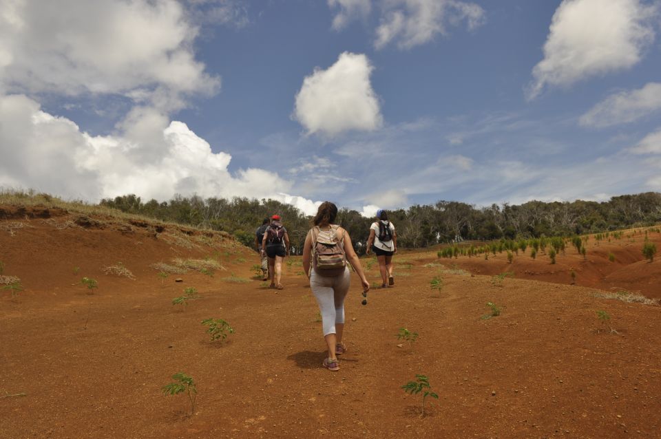 Easter Island: Poike Volcano Private Hiking Tour With Guide - Pricing Details