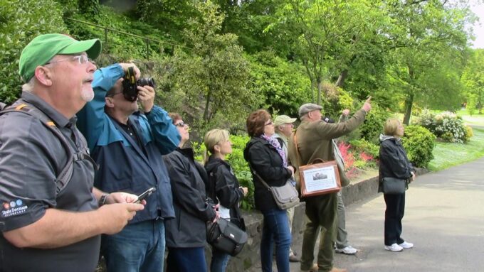 Edinburgh: City Highlights Private Guided Walking Tour - Recommended Items to Bring