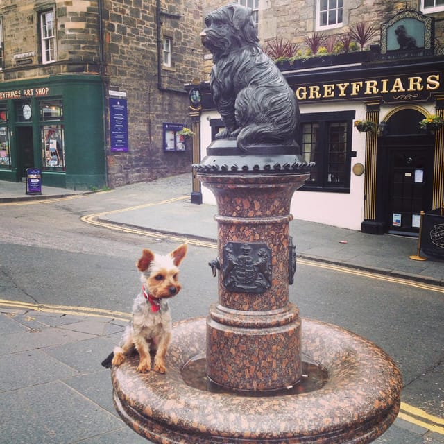 Edinburgh: History Lovers Old Town Walking Tour - Frequently Asked Questions