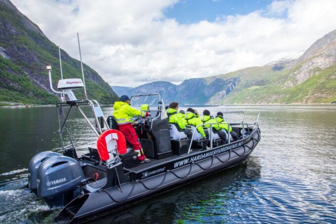 Eidfjord: 1-Hour Fjord RIB Tour - Wildlife Sightings
