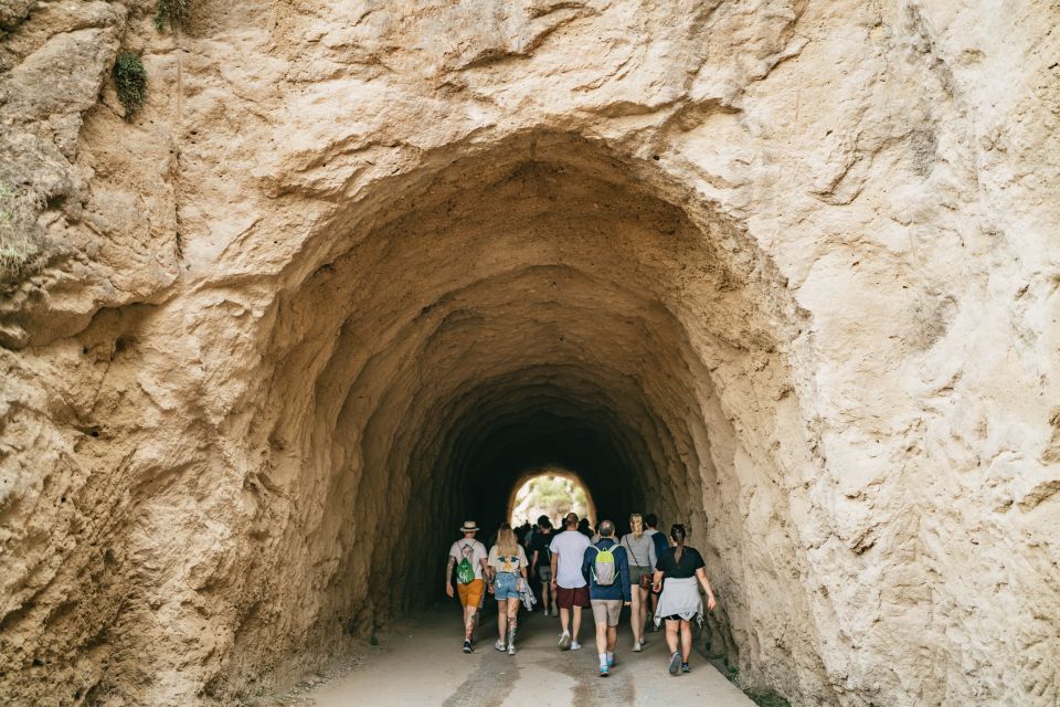 El Chorro: Caminito Del Rey Guided Tour With Shuttle Bus - Meeting Point and Shuttle Service