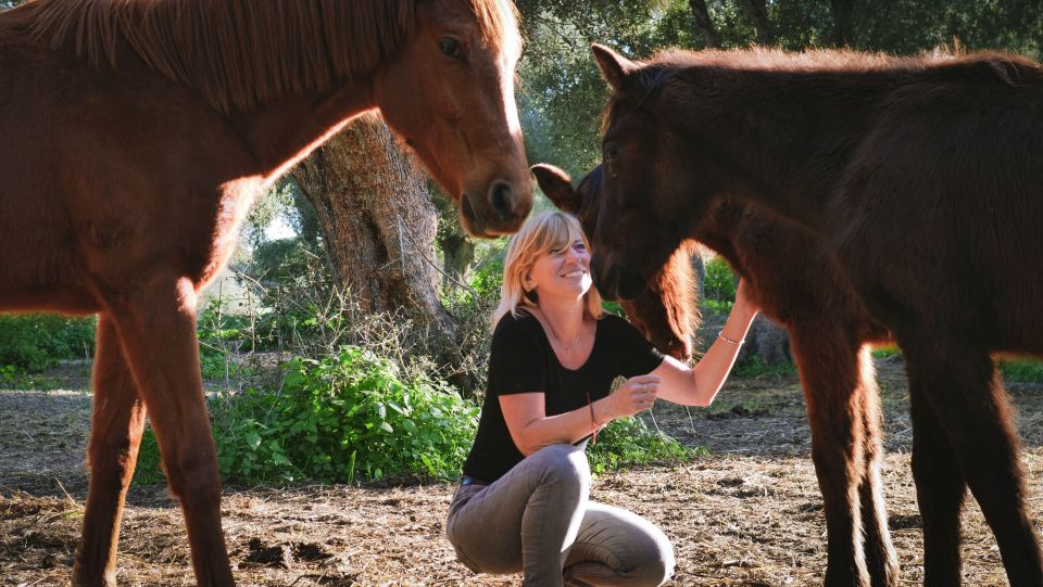 El Palmar: Reconnect Thanks to Coaching With Horses - Frequently Asked Questions