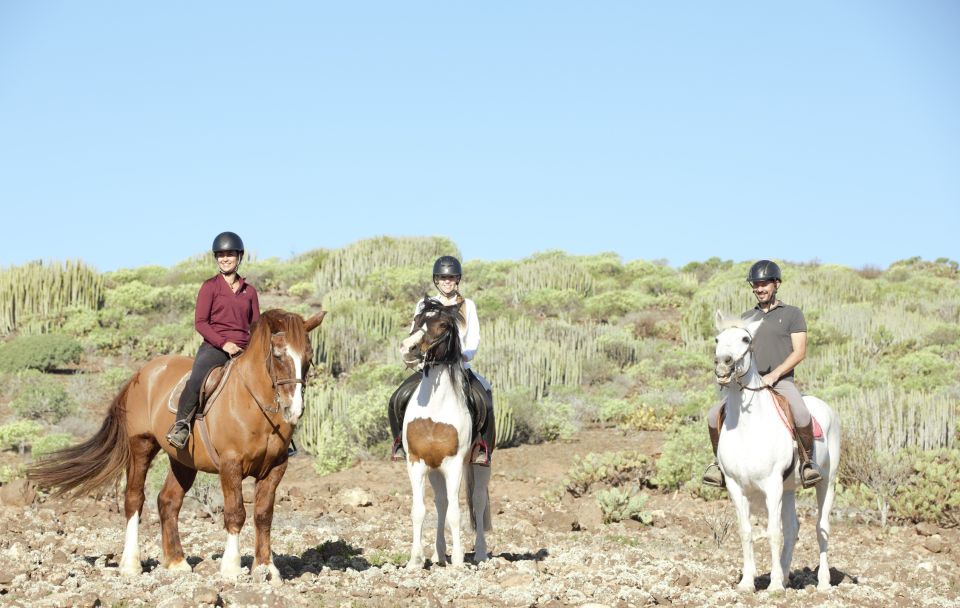 El Salobre: Horse Riding Adventure With Transfer Options - Frequently Asked Questions