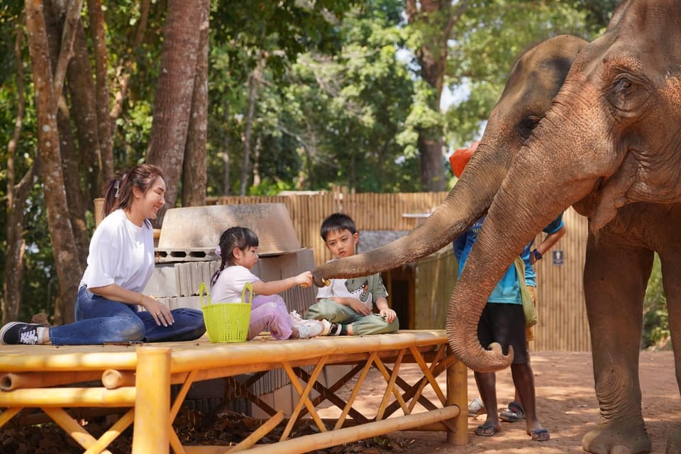 Elephant Feeding Program With Sea View (Feeding Only) - Additional Information