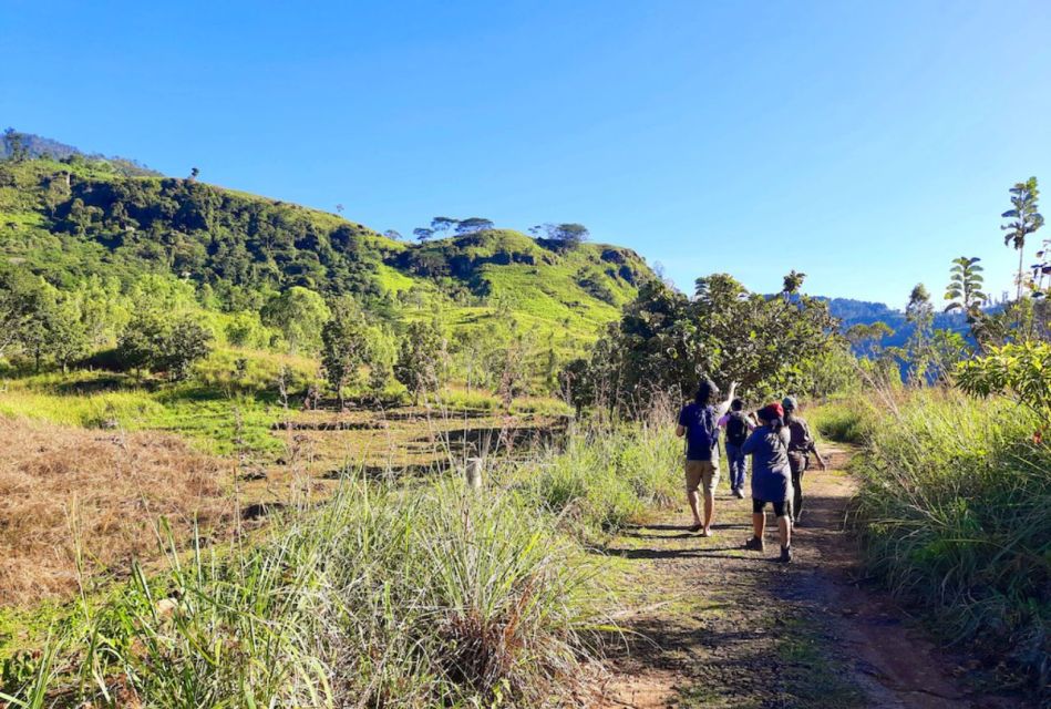 Ella to Demodara Trekking Adventure: Pekoe Trail - Stage 16 - Reaching Demodara Railway Station