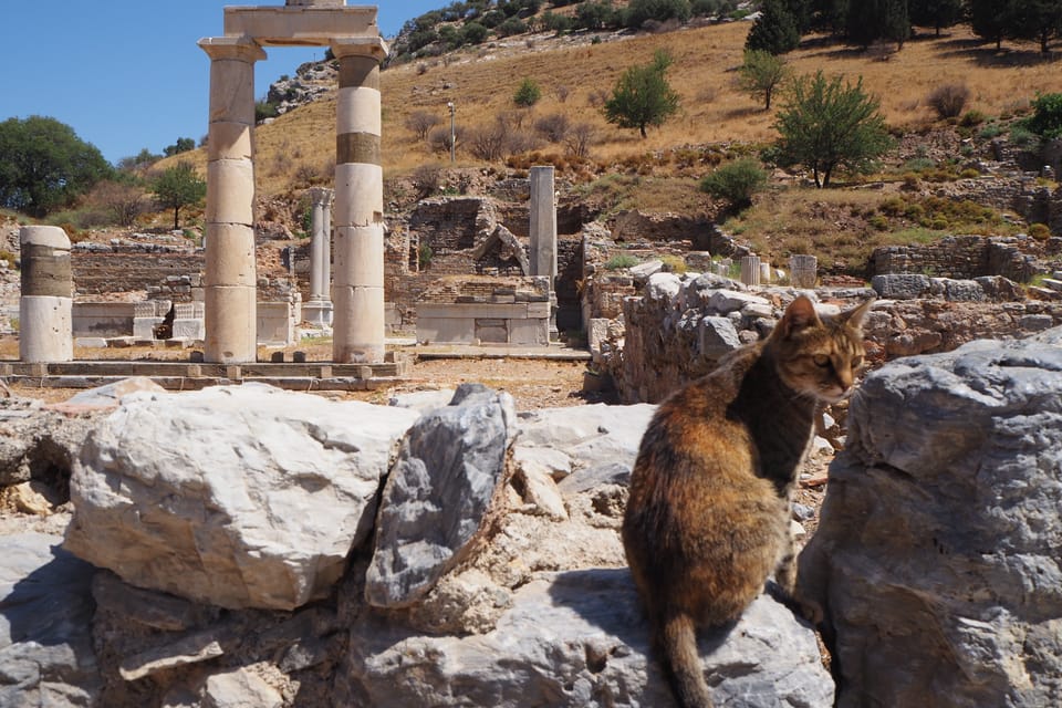 Ephesus: Half-Day Tour From Kusadasi or İIZMIR - Transportation Details