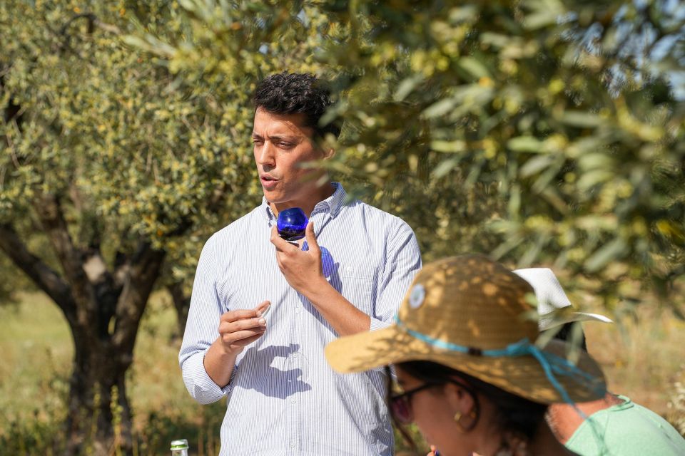 Ermioni: Olive Oil Tasting & Millennial Olive Tree Tour - Getting There