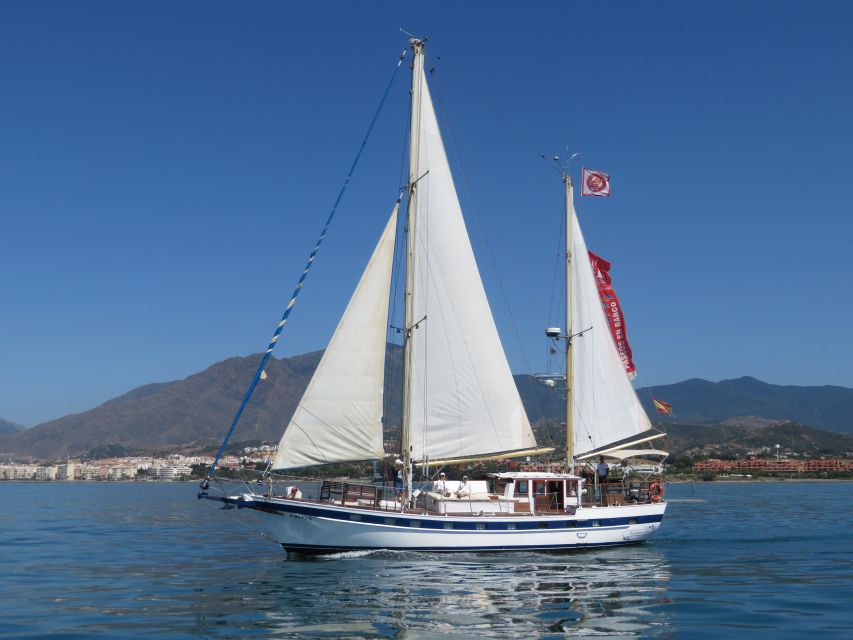 Estepona: Dolphin Watching Sailboat Cruise With Drink - Experience Highlights