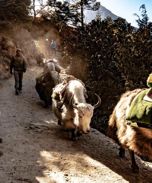 Everest Base Camp Trek: 12 Days - Suitability and Restrictions