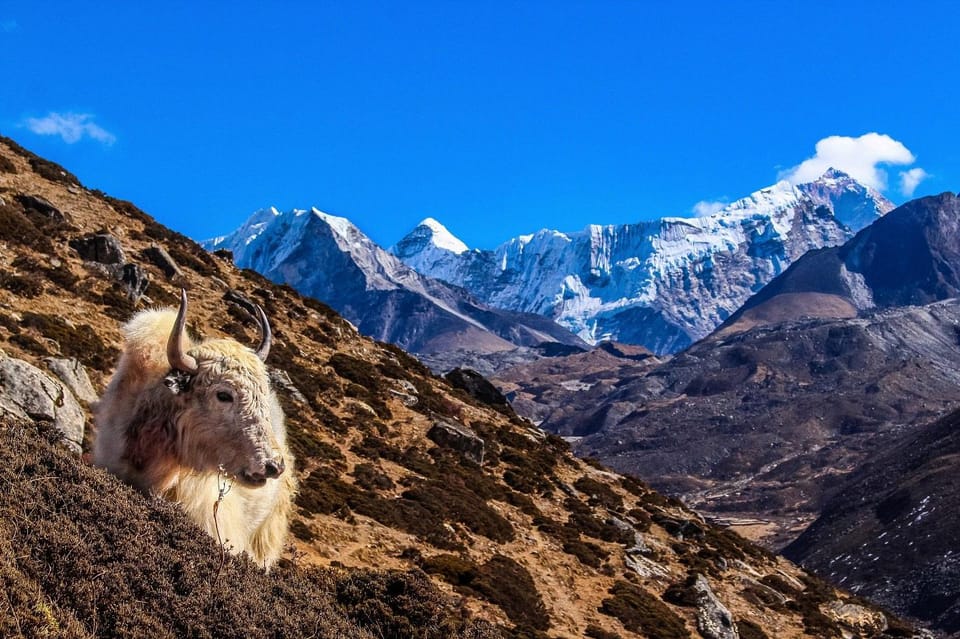 Everest Base Camp Trek 14 Days - Safety and Health Tips