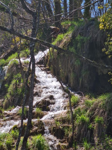 Excursion to Plitvice National Park - Visitor Restrictions