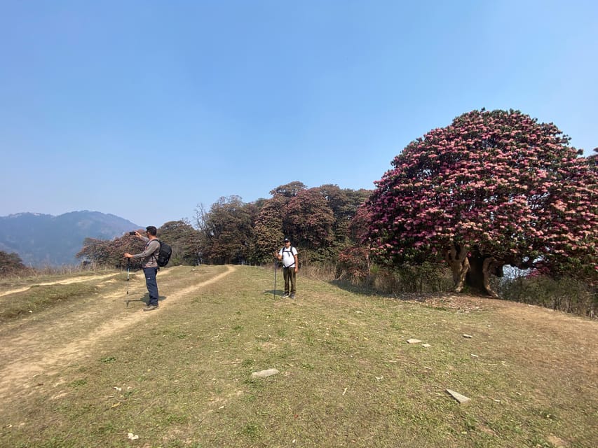 Experience the Magic of Poon Hill: a 4-Day Trek From Pokhara - Best Trekking Seasons