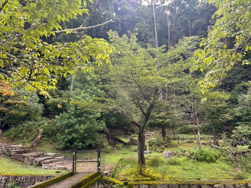 Explore Kyoto: E-Bike Adventures Through Timeless Beauty - Booking Information and Policies