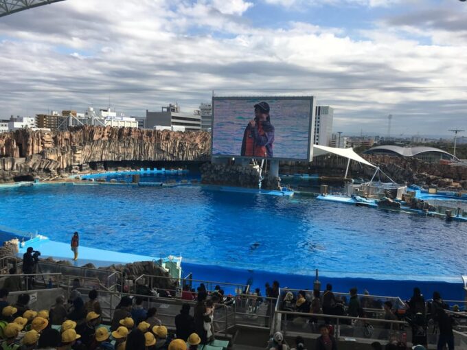 Explore Nagoya: Your Ultimate PRIVATE One-Day Adventure - Tips for Your Day