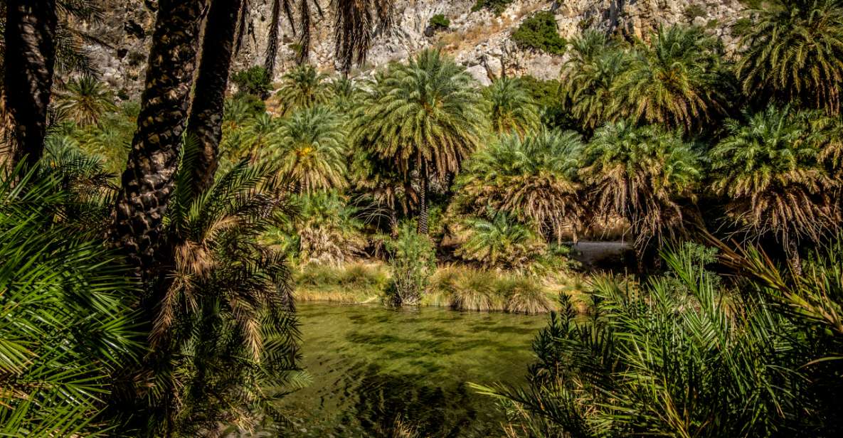 Explore Preveli Palms, Damnoni Beach & Historic Rethymno - Transportation and Tour Guide