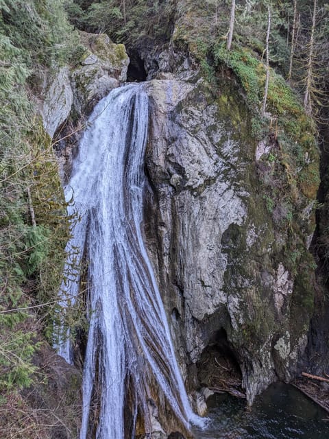 Explore Snoqualmie, Waterfalls and an Ancient Forest - Necessary Inclusions and Recommendations