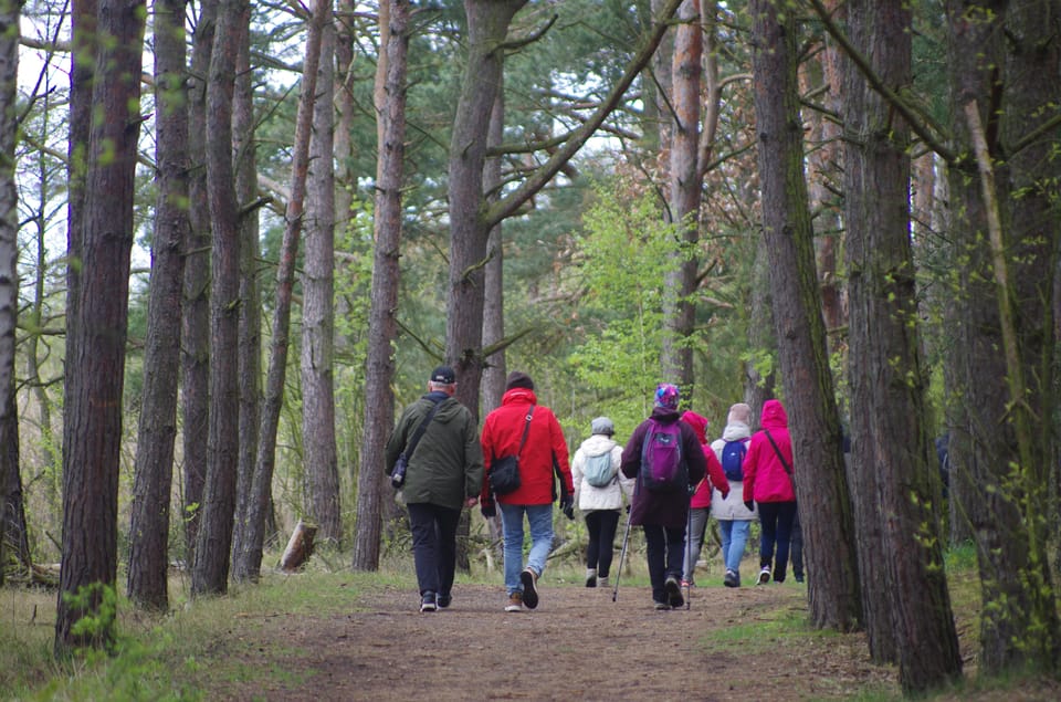 Explore Sobieszewo Island: Nature Walk & Wildlife Tour - Booking Your Adventure