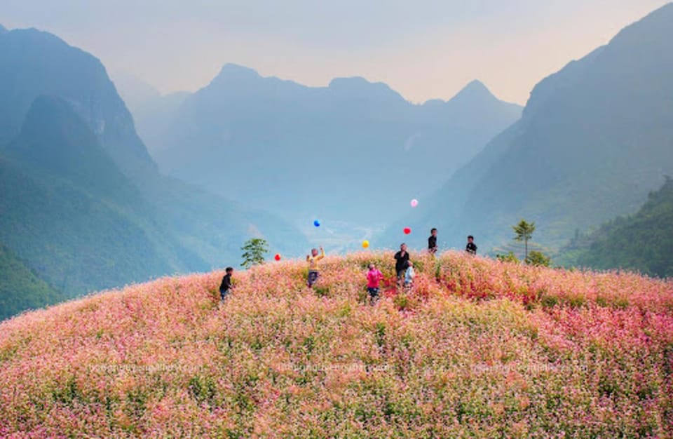 Explore the Majestic Ha Giang With Direct Bus From Ha Noi - Travel Tips for Ha Giang