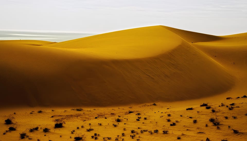 Explore the Mui Ne Sand Dunes at Sunset on a Day Trip - Adventure at the Sand Dunes