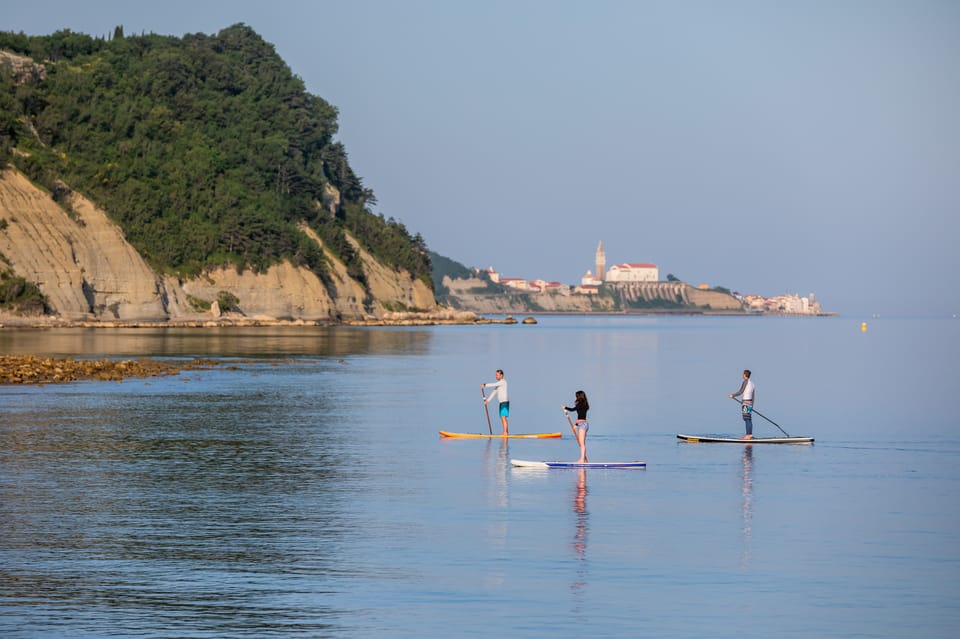 Exploring the Coast: SUP Adventure From Piran to Strunjan - Meeting Point Details