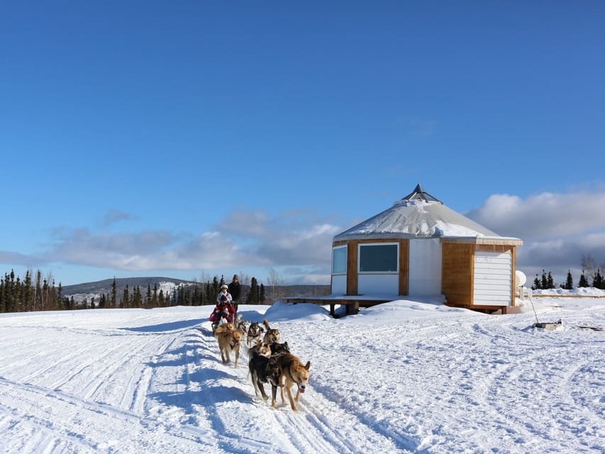 Fairbanks: 1-Hour Alaskan Winter Dog Sledding Adventure - Recommendations for Participants