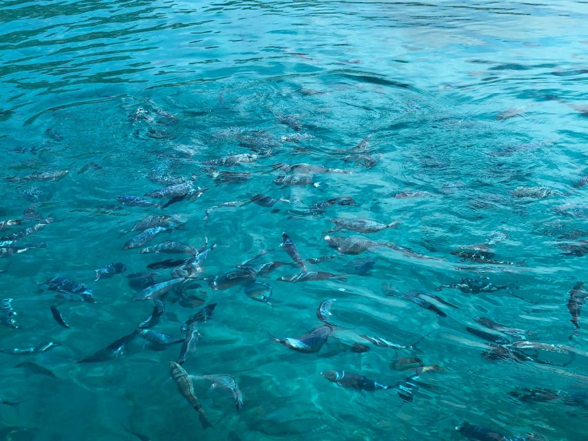 Faliraki: Boat Trip to Ladiko, Traganou & Antony Quinn Bays - Meeting Point and Important Details