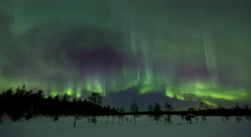 Finnish Laplands: Capture The Auroras in Arctic Nature - Booking and Cancellation Policies