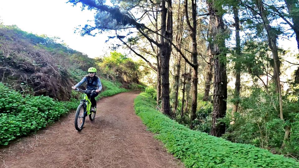 Firgas: Gran Canaria Forest Mountain Bike Tour - Included in the Tour