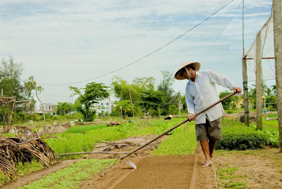 Fishing, Basket Riding and Cooking Class From Hoian/ Danang - Local Cultural Significance