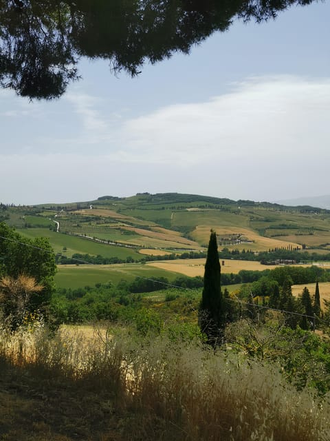 Florence: Montepulciano, Pienza, & Montalcino Private Trip - Important Travel Information