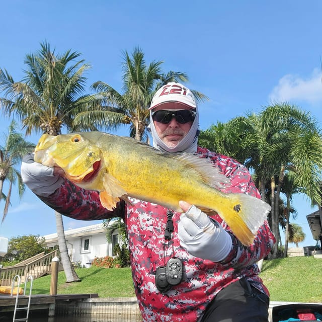 Florida Everglades Fishing Charter Near Fort Lauderdale - Wildlife and Scenery