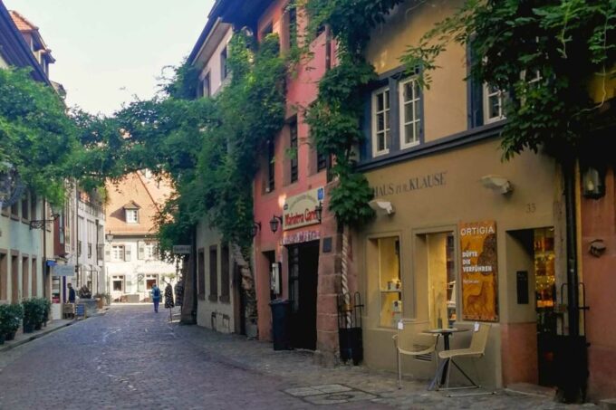 Freiburg: Alleys, Streams and More City Tour - Accessibility Features