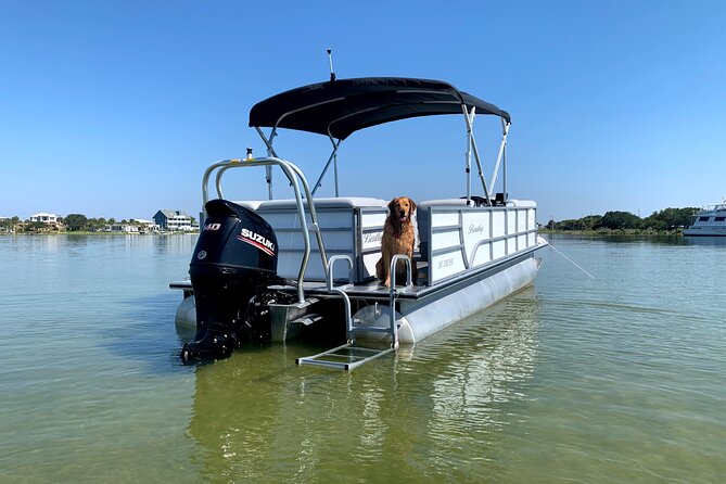 Frisky Mermaid Pontoon Boat Rentals in Pensacola Beach - Accessibility and Transportation