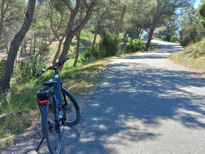 From Aix-en-Provence: Luberon Region E-Bike Full-Day Tour - Tips for Participants