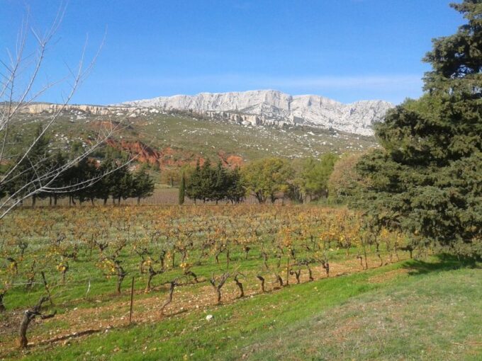 From Aix-En-Provence: Luberon & Vineyards Tour With Tastings - Important Information for Travelers