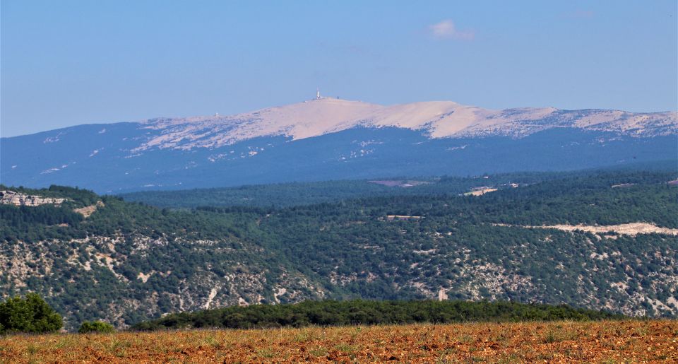 From Aix En Provence: Private Tour of Sault in Van - Accessibility Features