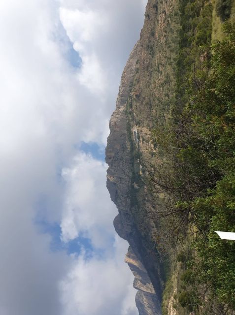 From Alicante: to the Caves in Europe, Canelobre. Gidovik - Activities