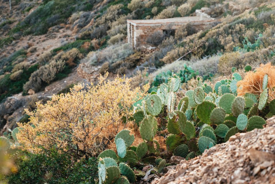 From Athens: Cape Sounion & Temple of Poseidon Half Day Tour - Recommended Items to Bring