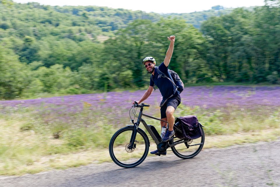 From Avignon: Full-Day E-Bike Tour in the Luberon Region - Booking Process