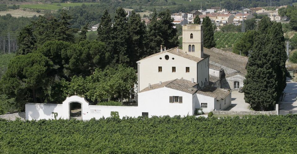 From Barcelona: The Penedès Hike and Wine Tour - Winery and Wine Tasting