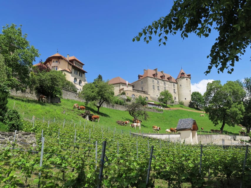 From Basel: Day Trip to Gruyères With Castle and Show Dairy - Gruyères Castle Visit