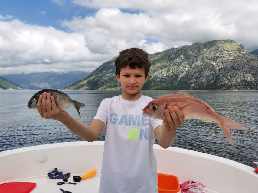 From Bay of Kotor: Blue Cave Private Speedboat Tour - Suitable Participants