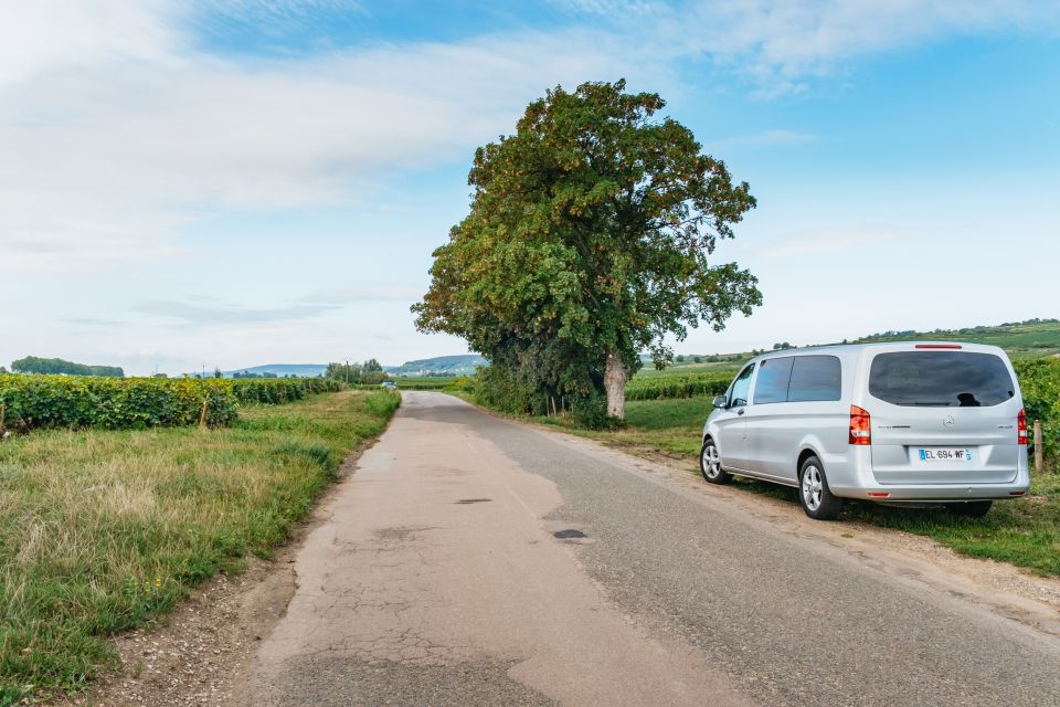 From Beaune: Burgundy Day Trip With 12 Wine Tastings - Local Cuisine and Lunch Options