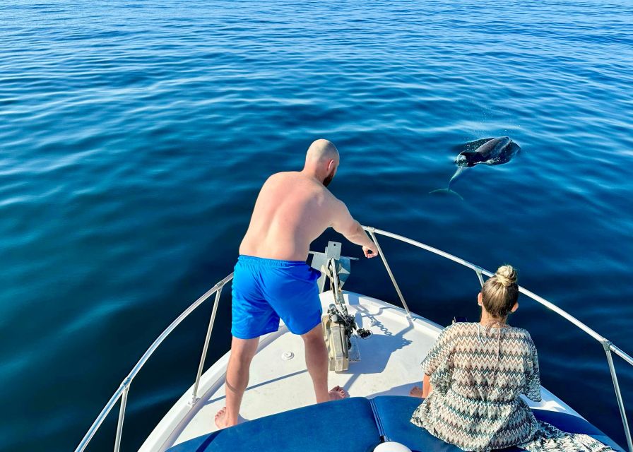 From Benalmádena & Torremolinos: Dolphin Watch Boat Trip - Booking and Cancellation Policy