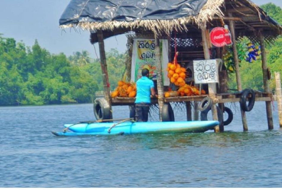 From Bentota: Madu River Safari & Turtle Hatchery Visit - Frequently Asked Questions