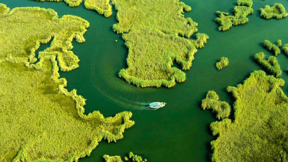 From Bodrum: Dalyan, Turtle Beach, and Mud Baths Day Trip - Trip Overview and Pricing