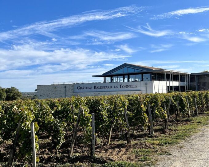 From Bordeaux: Afternoon Saint-Emilion Wine Tasting Trip - Tips for Travelers