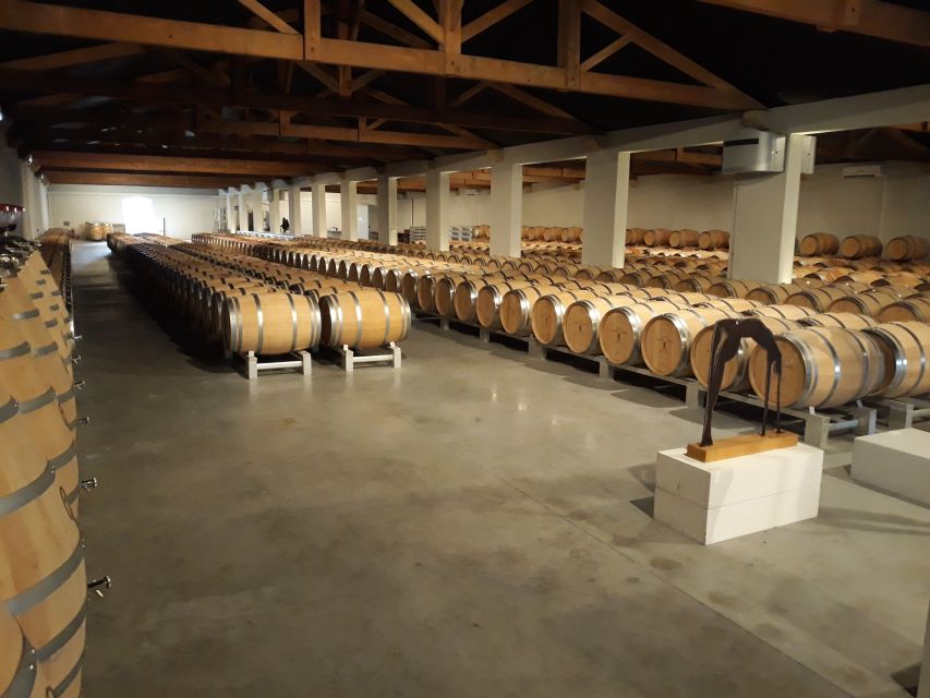 From Bordeaux: Médoc Vineyard and Chateau Tour by Sidecar - What to Expect on the Tour