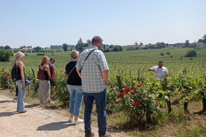 From Bordeaux: Saint-Emilion Guided Wine Tasting Tour - Customer Feedback