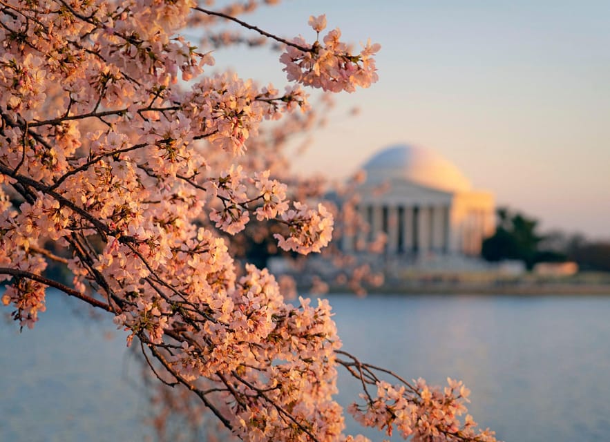From Boston: 4-Day Tour to New York, D.C.&Niagara Falls - Important Information
